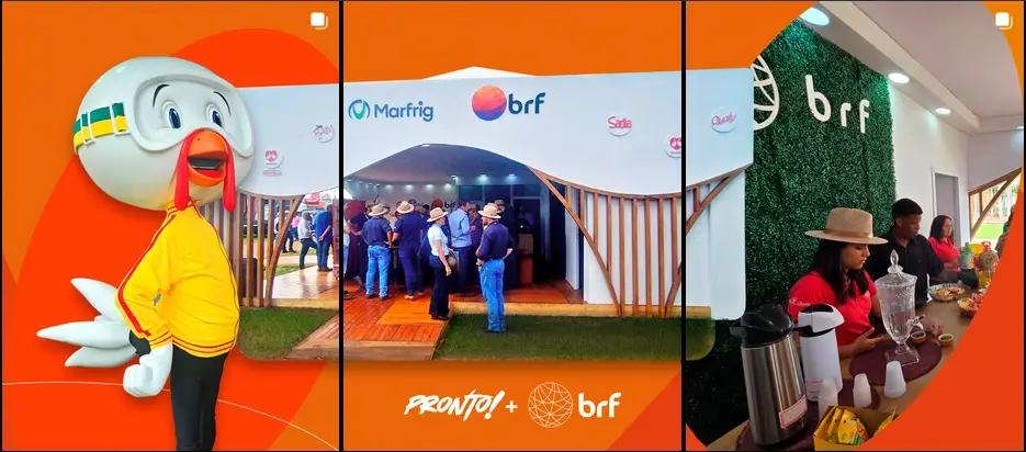 Carrossel de imagem da Pronto!